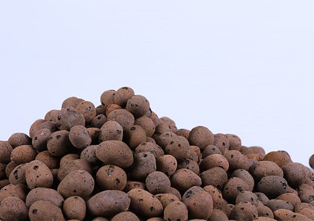 500g Organic Light Ceramsite Clay Pebbles Grow Media