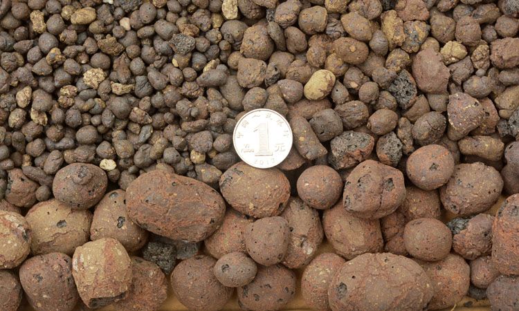 500g Organic Light Ceramsite Clay Pebbles Grow Media