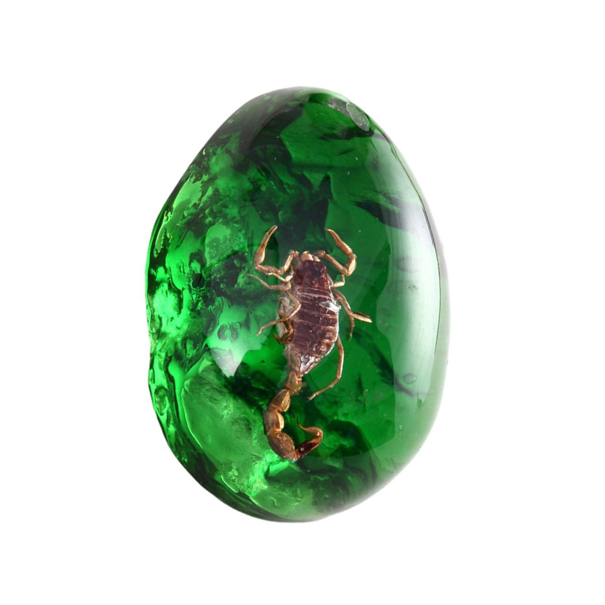 Wasp Amber Jewelry Vibrant Amber Collection Scorpion for Ages Green