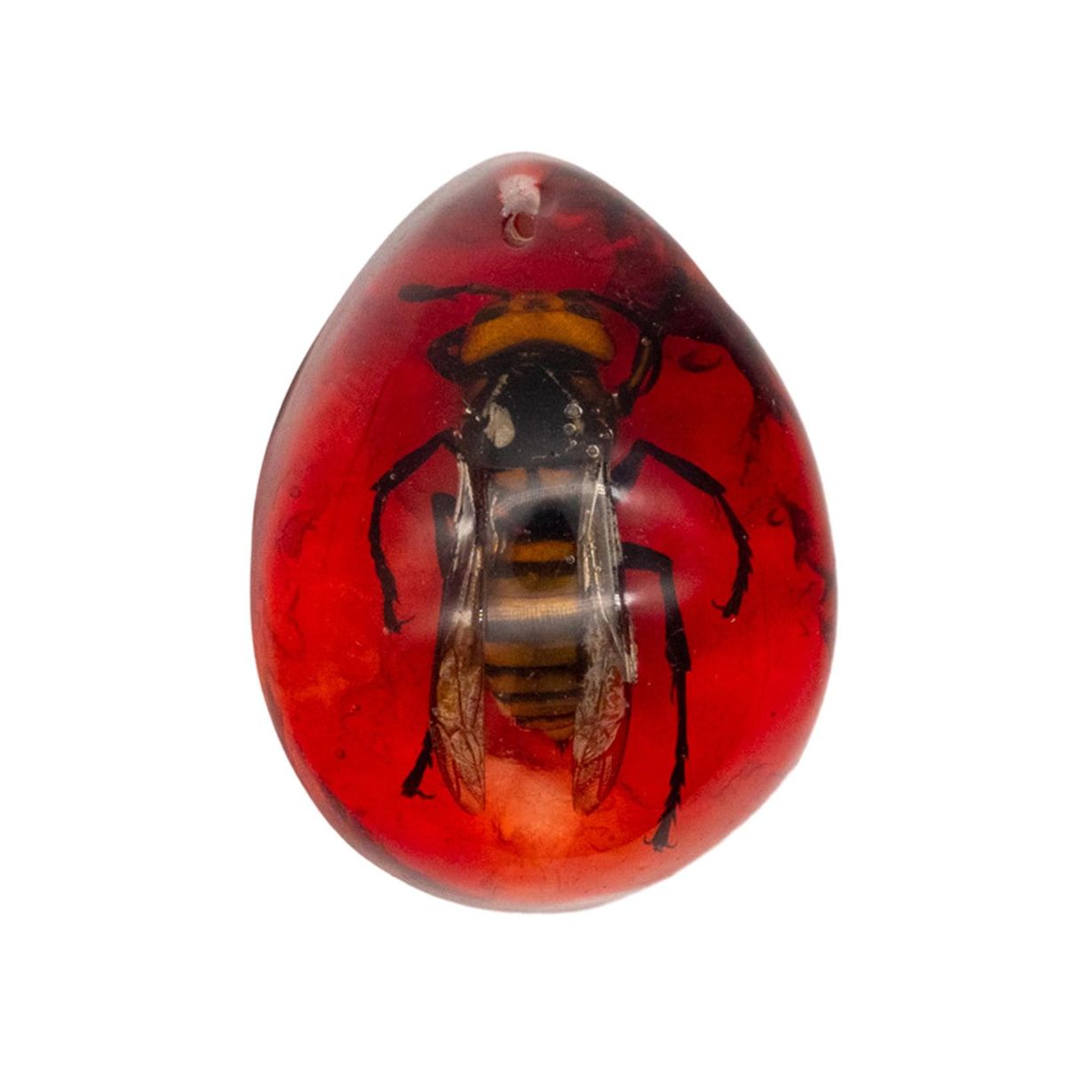 Children Amber Toys Vibrant Amber Collection Scorpion for Ages Red