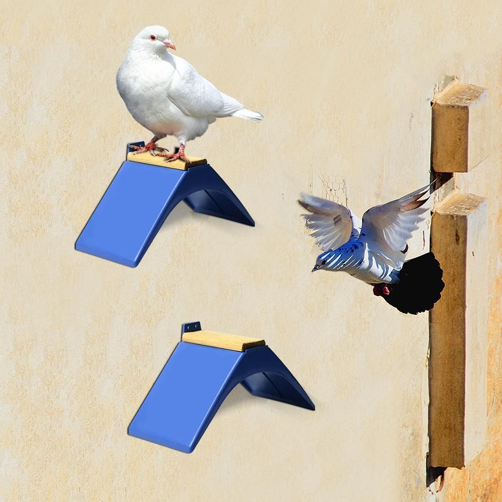 Pigeon Rest Stand Pigeon Perches Frame Grill Dwelling Roost Durable Plastic Birds Supplies