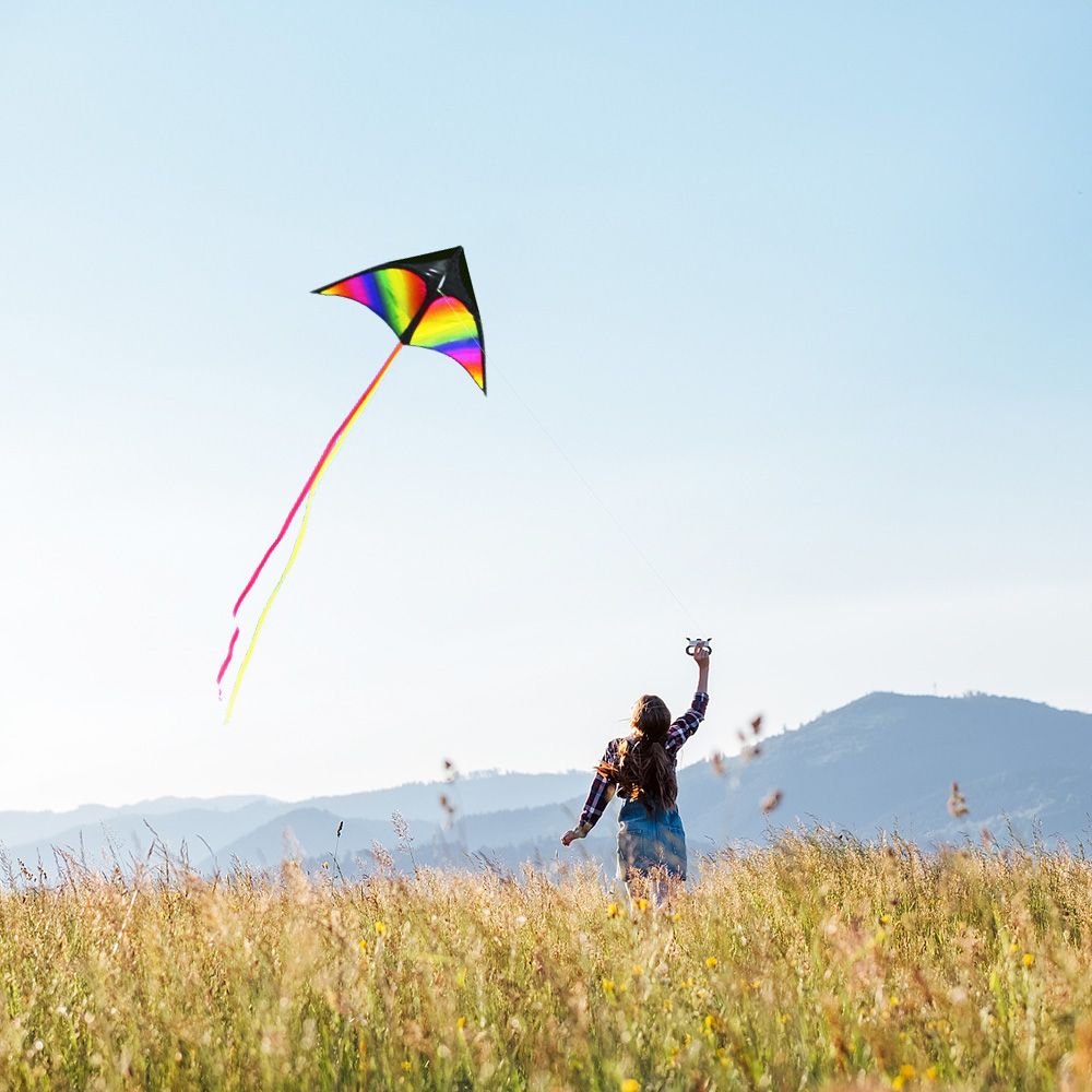 Colorful Delta Kite Easy To Fly Kite Single Line Beach Kite