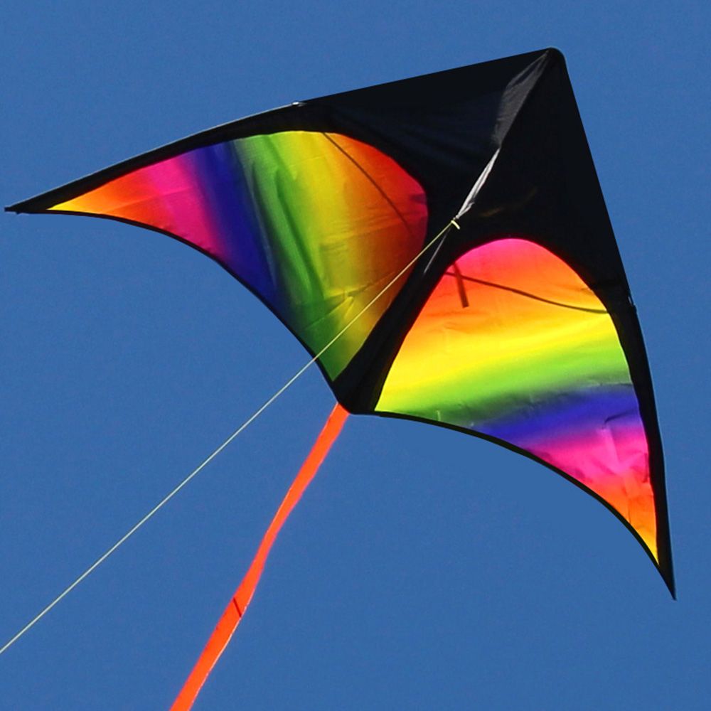 Colorful Delta Kite Easy To Fly Kite Single Line Beach Kite