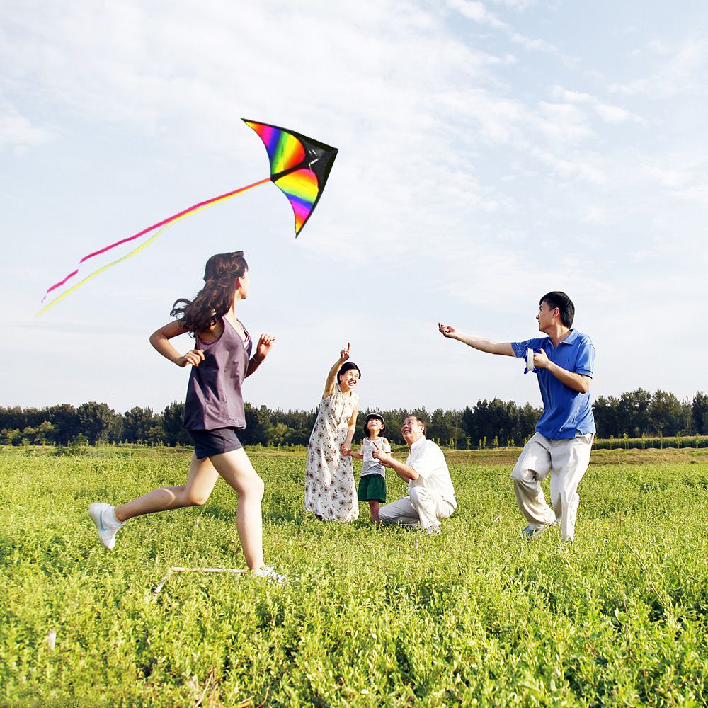 Colorful Delta Kite Easy To Fly Kite Single Line Beach Kite