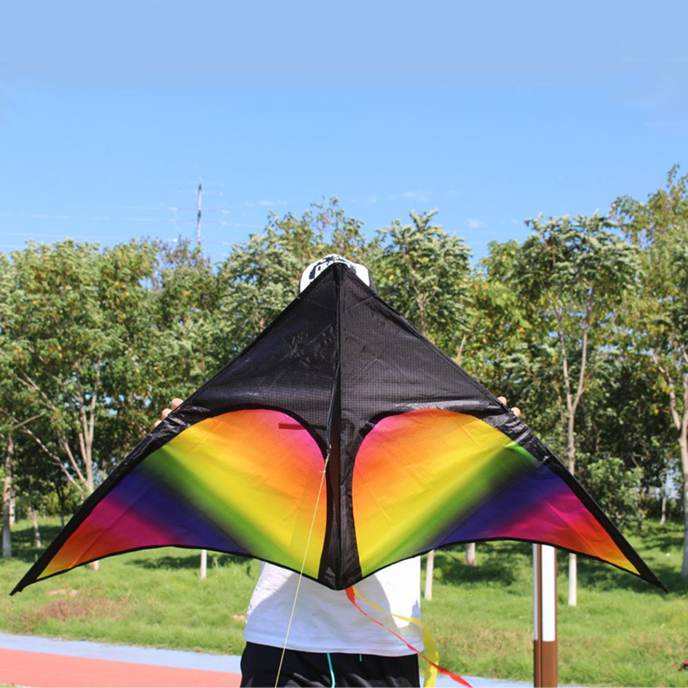 Colorful Delta Kite Easy To Fly Kite Single Line Beach Kite