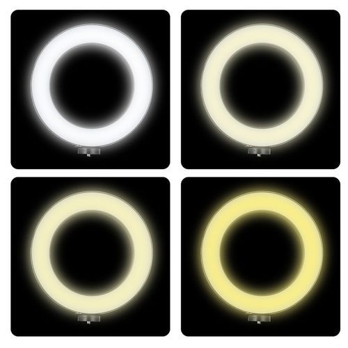 USB Dimmable LEDs Selfie Fill Ringlight 10inches Brightness