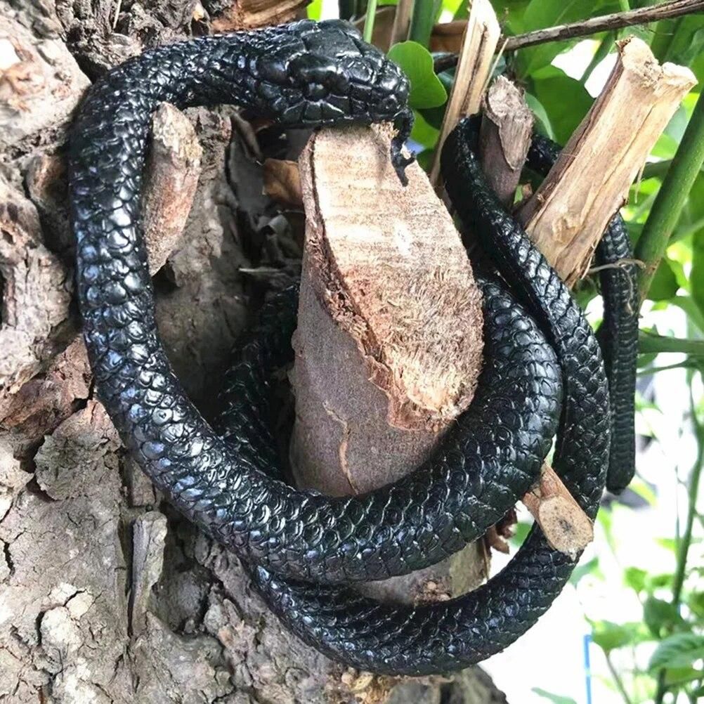 2 Pcs Lifelike Snake Models Simulation Snake Toys Educational Playthings (Black) Shocker