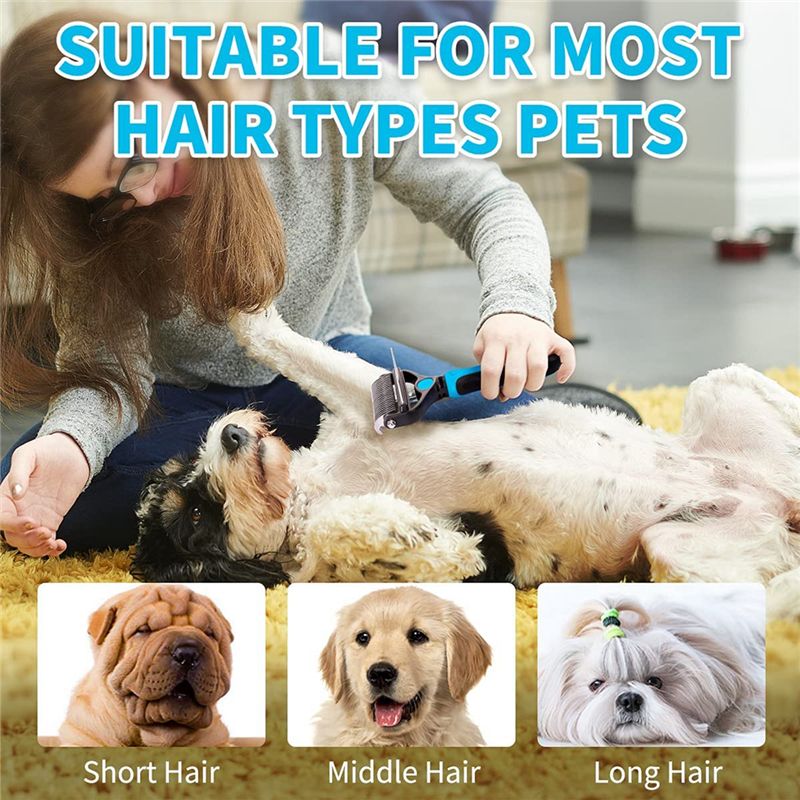 Dog Comb Rake 2 in 1 Safe Double-Sided Comfortable Handle Pet Grooming Brush for Mats Tangles Removing Small