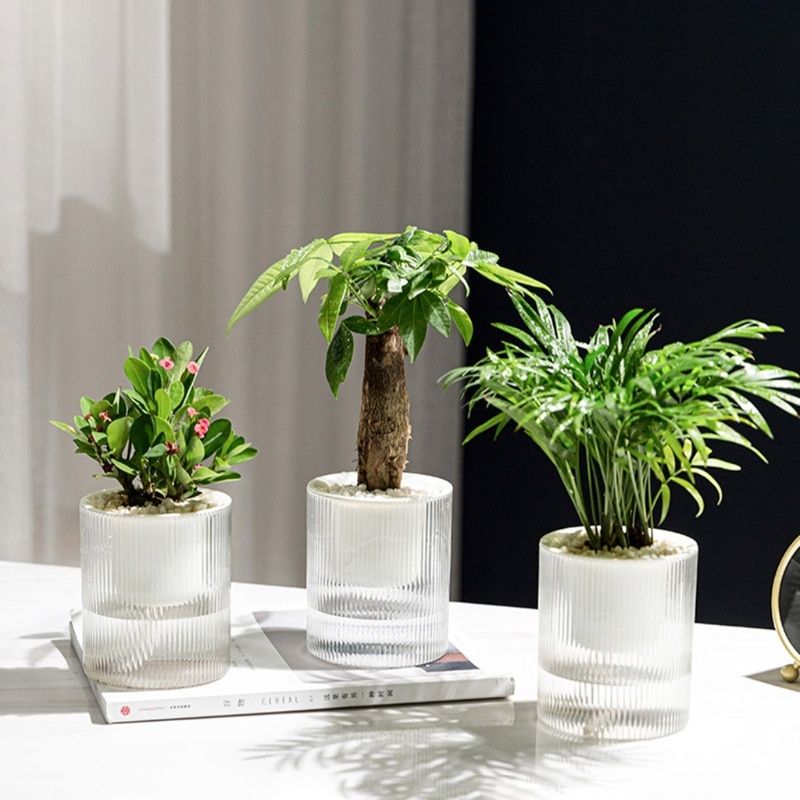 Self Watering Plastic Plant Pot With Wick Rope Clear Water Container 2 Layer Planter Round Flowerpot Basin For Flowers Large