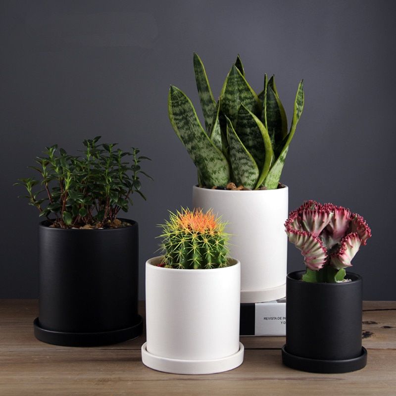 1pc Nordic Style Black And White Matt Ceramic Succulent Orchid Pot With Tray Planter Holder Flower Pot Hole In The Bottom Light Grey