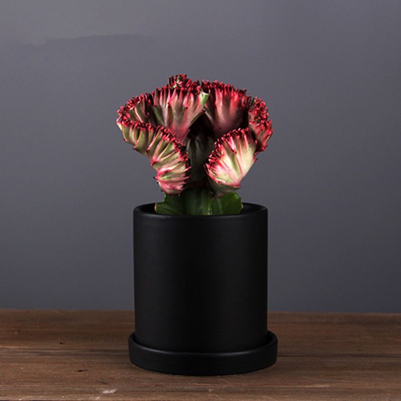 1pc Nordic Style Black And White Matt Ceramic Succulent Orchid Pot With Tray Planter Holder Flower Pot Hole In The Bottom Light Grey