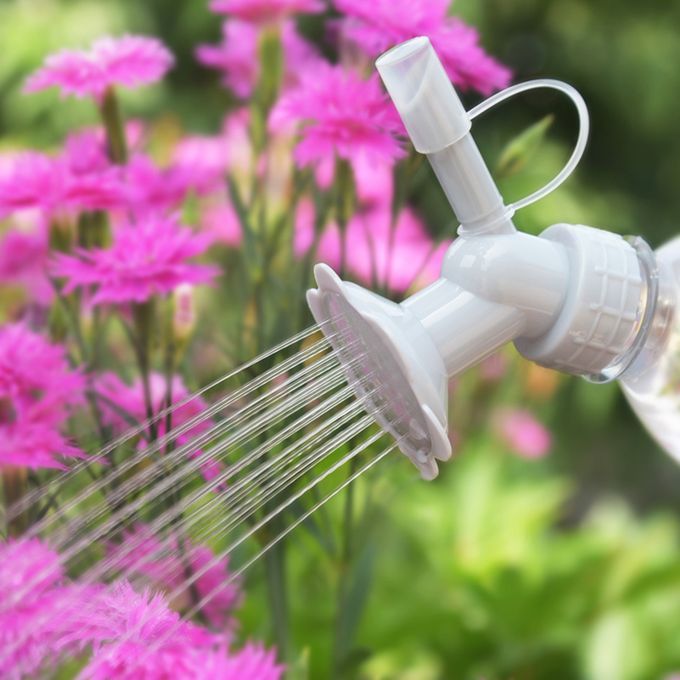2 In 1 Bottle Cap Sprinkler Dual Head Bottle Watering Spout
