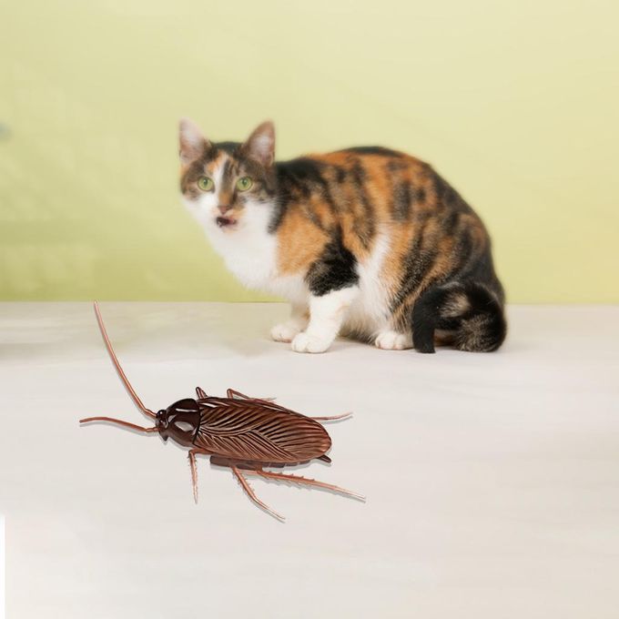 Electric Trick-Playing Toy Plastic  Cockroach Insects Party Props