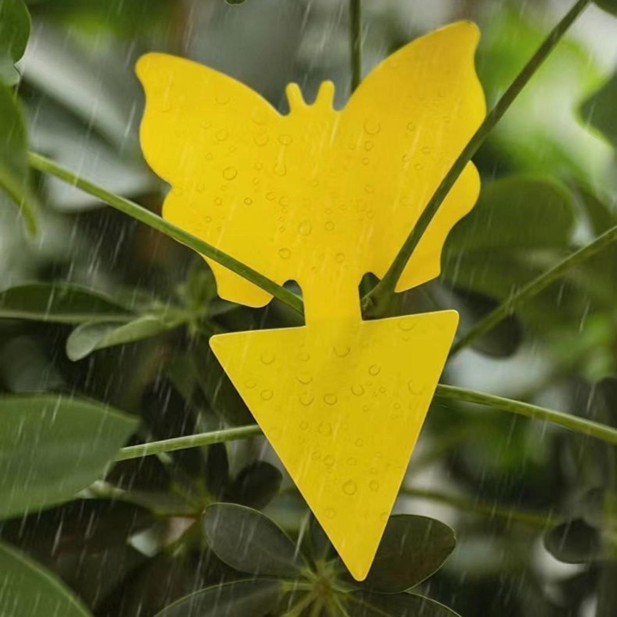 5Pcs Fly Trap Sticky Tree Shape Sticky Fly Pest Catcher Yellow