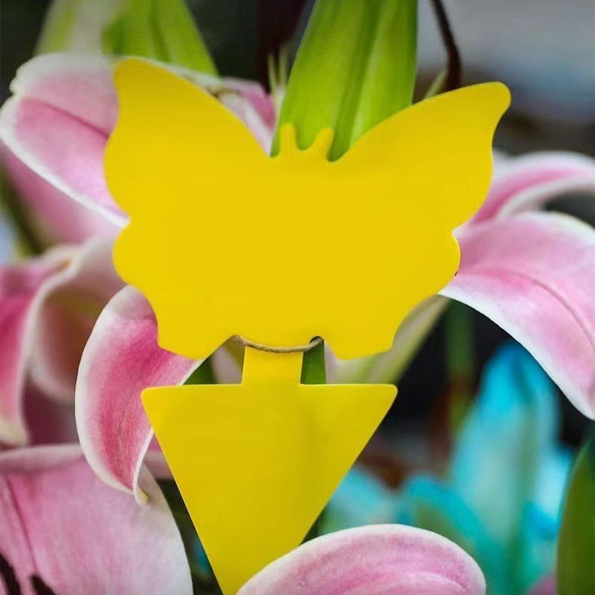 5Pcs Fly Trap Sticky Tree Shape Sticky Fly Pest Catcher Yellow