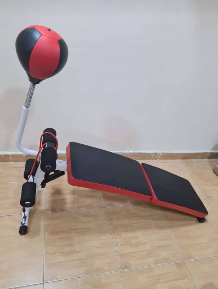 Sit Up Bench With Speed Ball And Dumbbell Latest Model