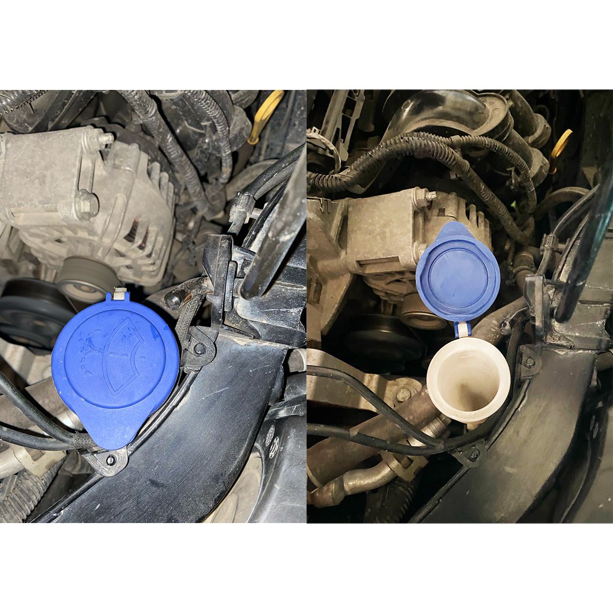 Blue Plastics Windscreen Washer Bottle Cap Screenw