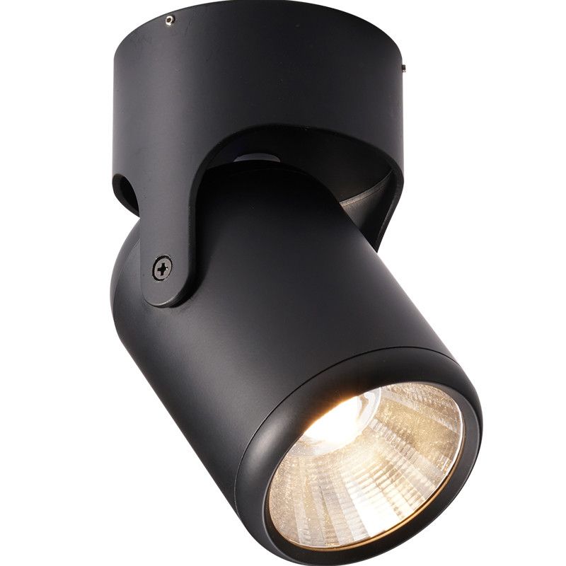 White Black Dimmable Rotating LED Downlights Surface