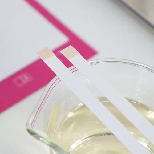 100pcs Urinary Ketone Strips Urine Analysis Keto Strips Healthy Diet Body Tester