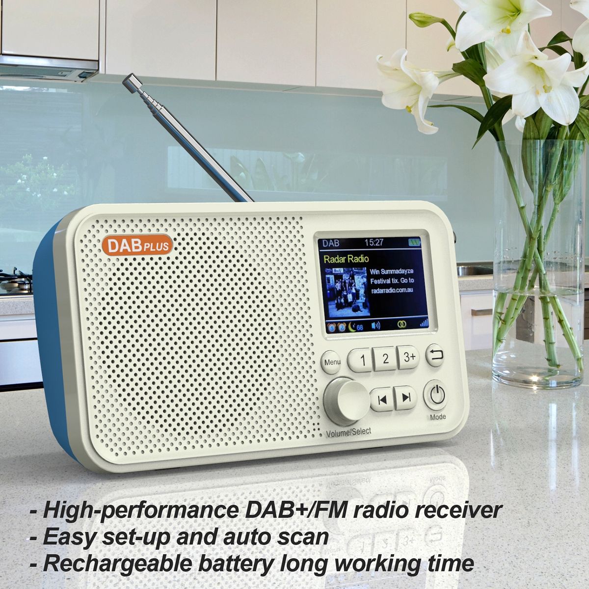 C10 Portable FM / DAB Digital Radio