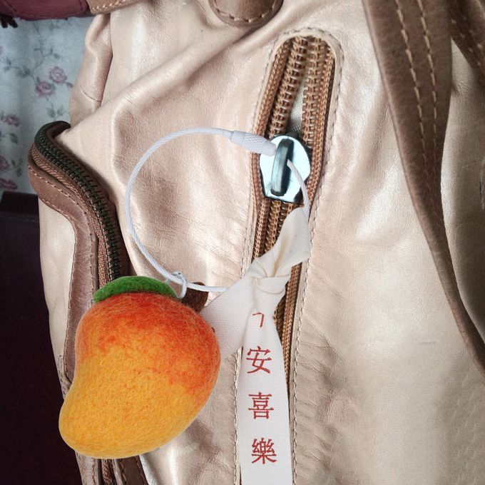 DIY Wool Felting Wool Felt Craft Starter Kit Key Chain Mango