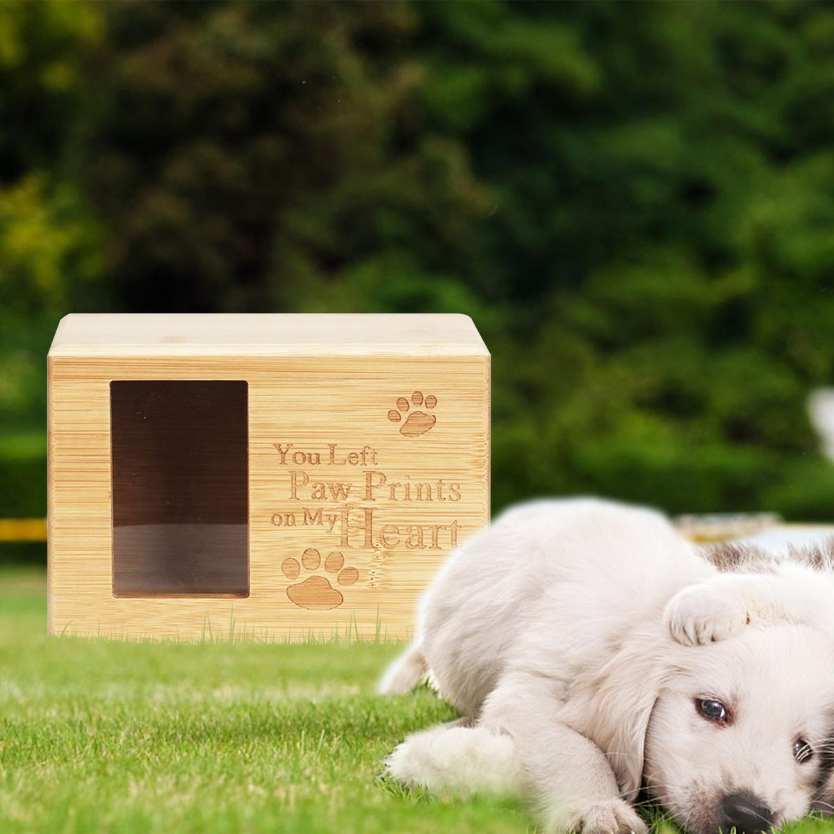 Pet Urn Ash Urns For Dogs Commemorate Cinerary Casket Memorial B