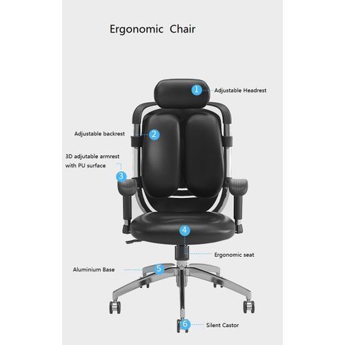 Executive Kidney Office Chair