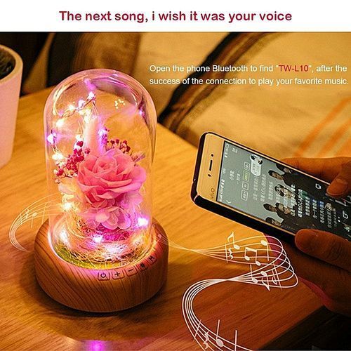 Creative 2 In 1 LED Night Light Bluetooth Audio Speaker USB Rechargeable Mini Desk Lamp Romantic Gift HT-S