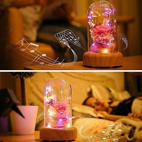Creative 2 In 1 LED Night Light Bluetooth Audio Speaker USB Rechargeable Mini Desk Lamp Romantic Gift HT-S