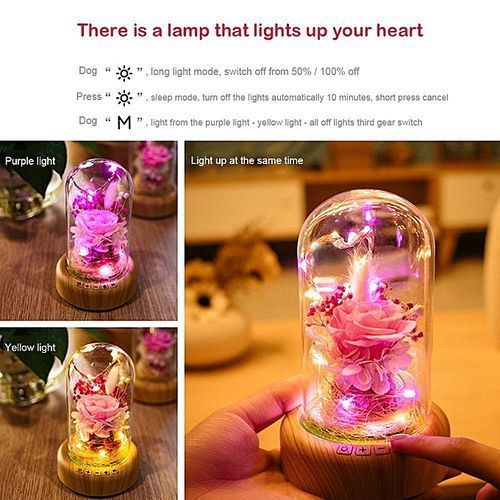 Creative 2 In 1 LED Night Light Bluetooth Audio Speaker USB Rechargeable Mini Desk Lamp Romantic Gift HT-S