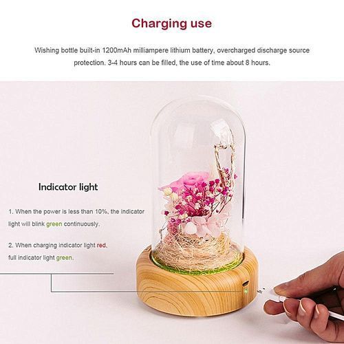 Creative 2 In 1 LED Night Light Bluetooth Audio Speaker USB Rechargeable Mini Desk Lamp Romantic Gift HT-S