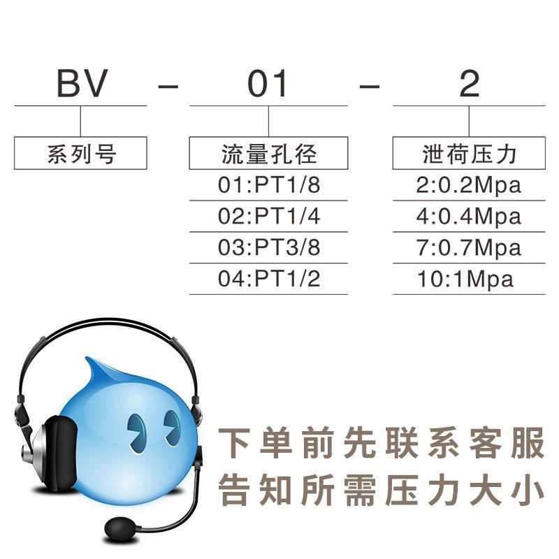 SNS Shenchi Pneumatic Long-Term Available Air Compressor Safety Valve BV-01 Compressed Air Safety Valve Durable