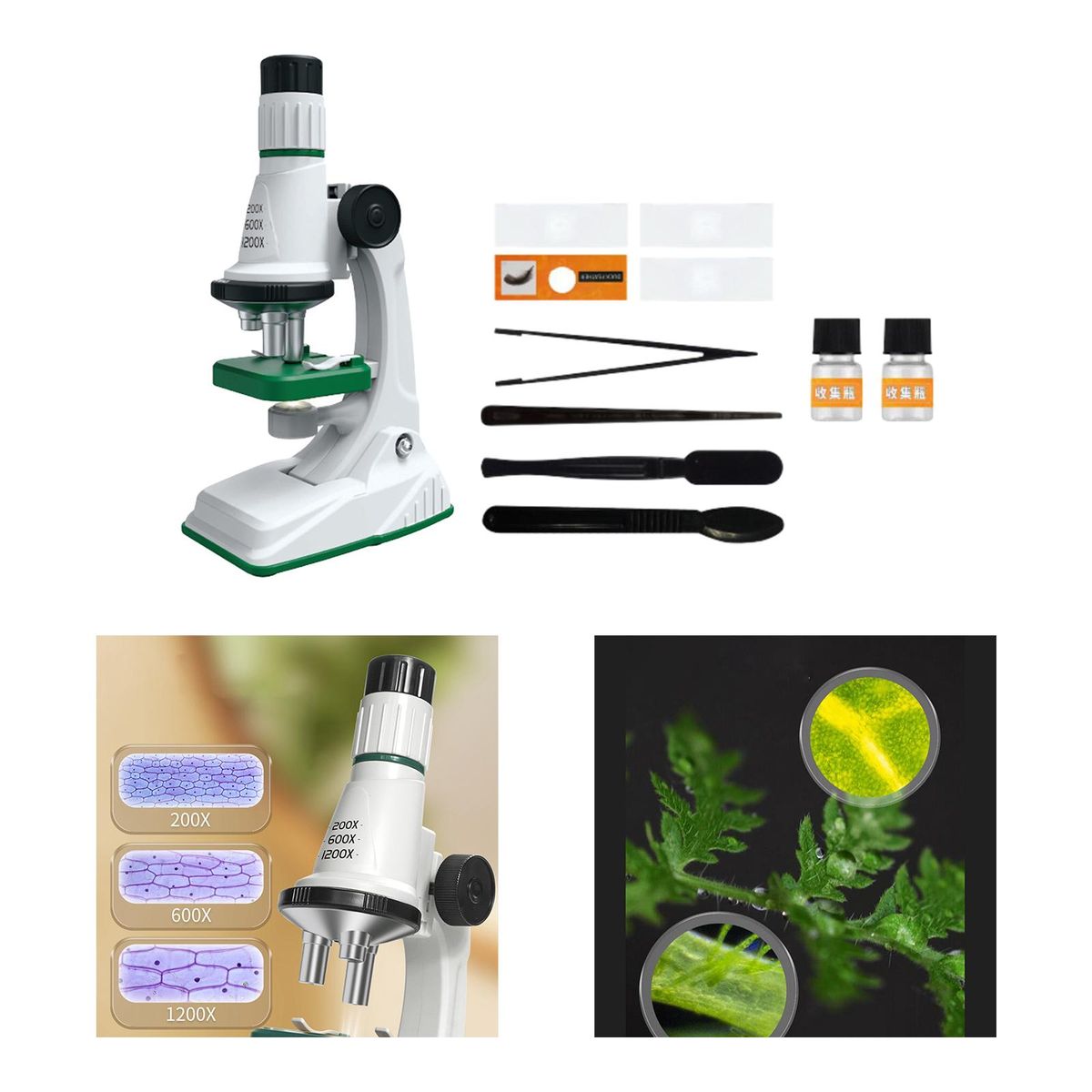 Kids  Kits With Light Biology  For White