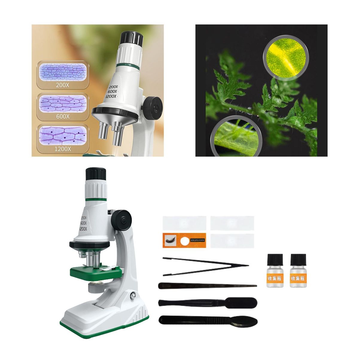 Kids  Kits With Light Biology  For White