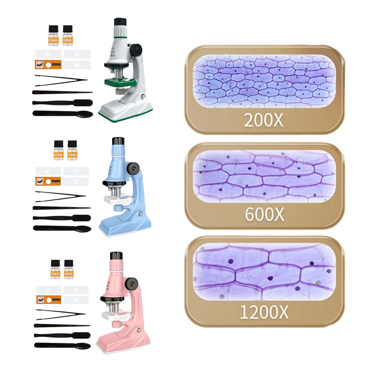 Kids  Kits With Light Biology  For White