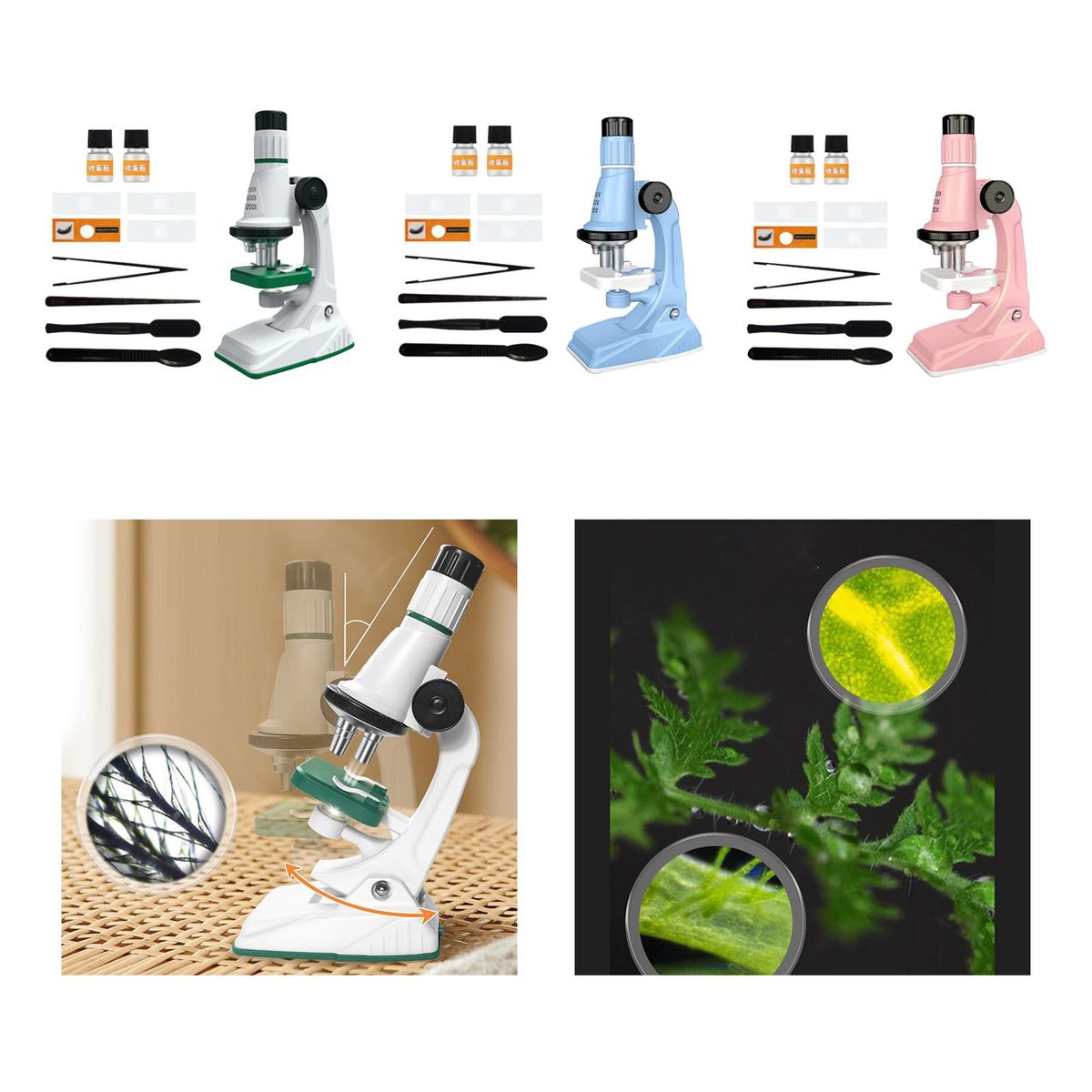 Kids  Kits With Light Biology  For White