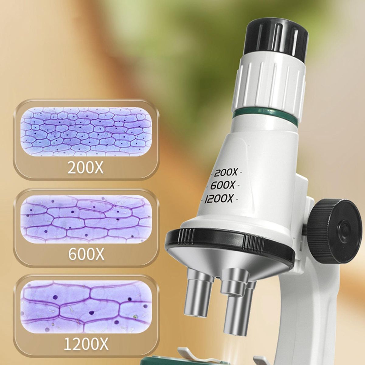 Kids  Kits With Light Biology  For White