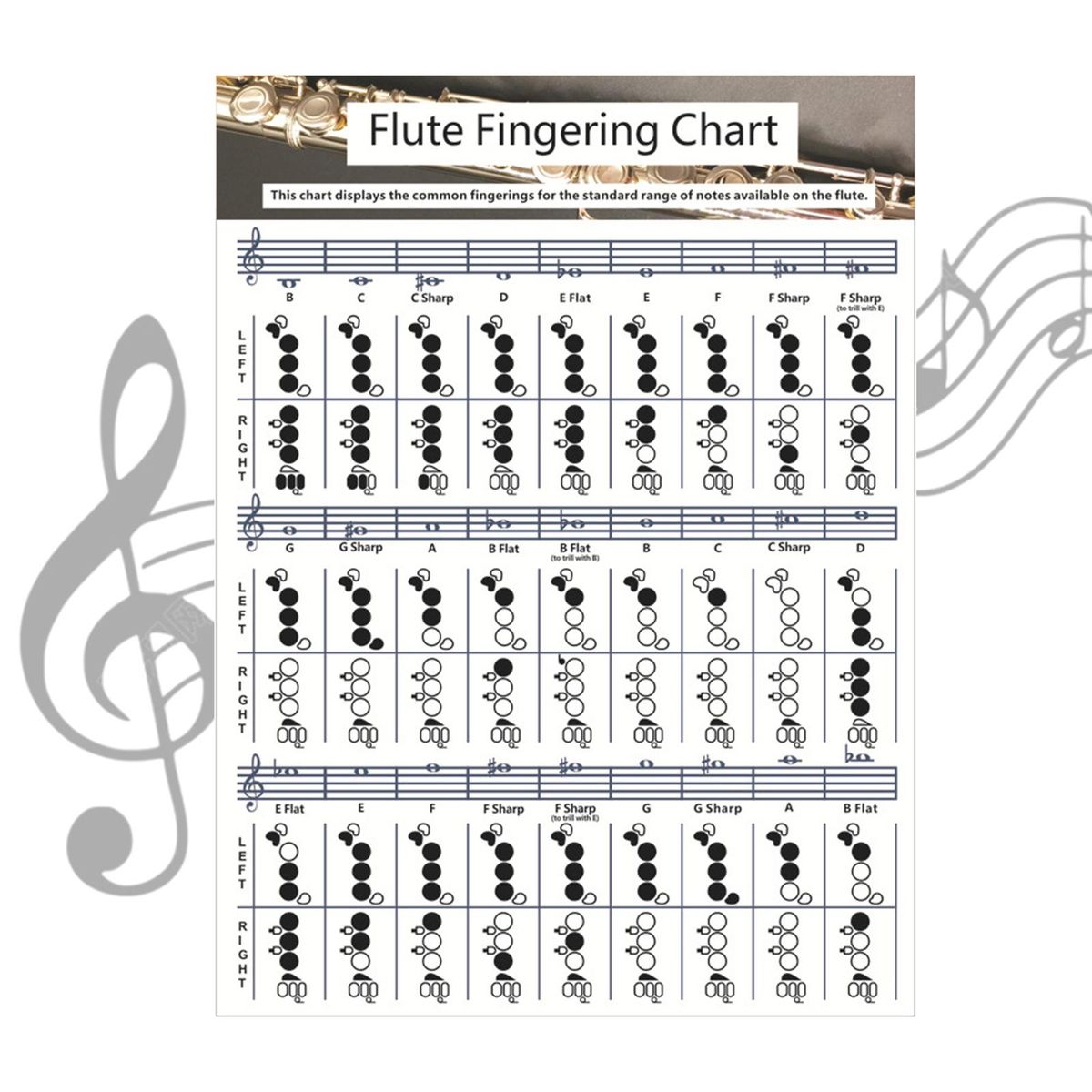 Useful Flute  Fingering Chart Fingering Practice Instrument For Small
