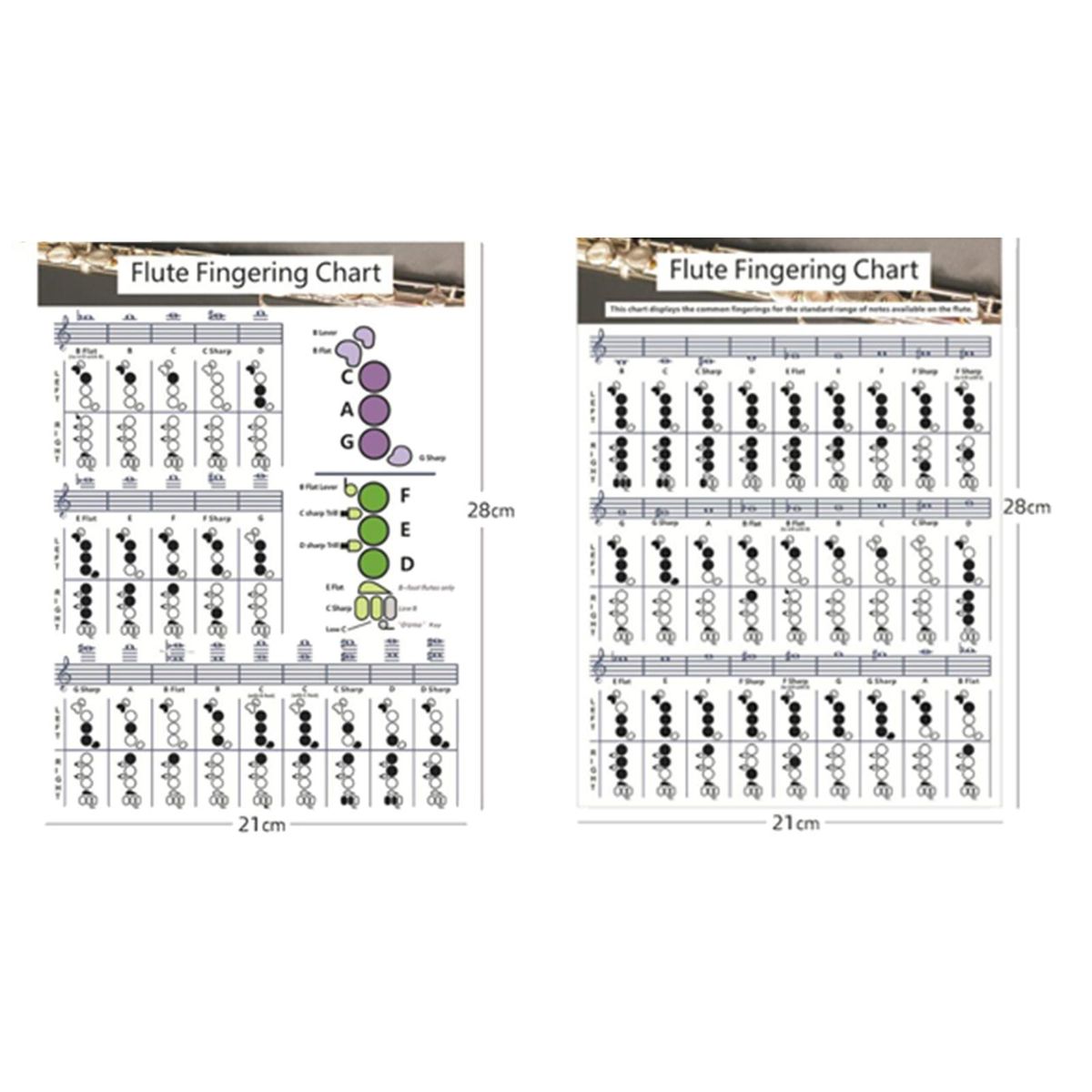 Useful Flute  Fingering Chart Fingering Practice Instrument For Small