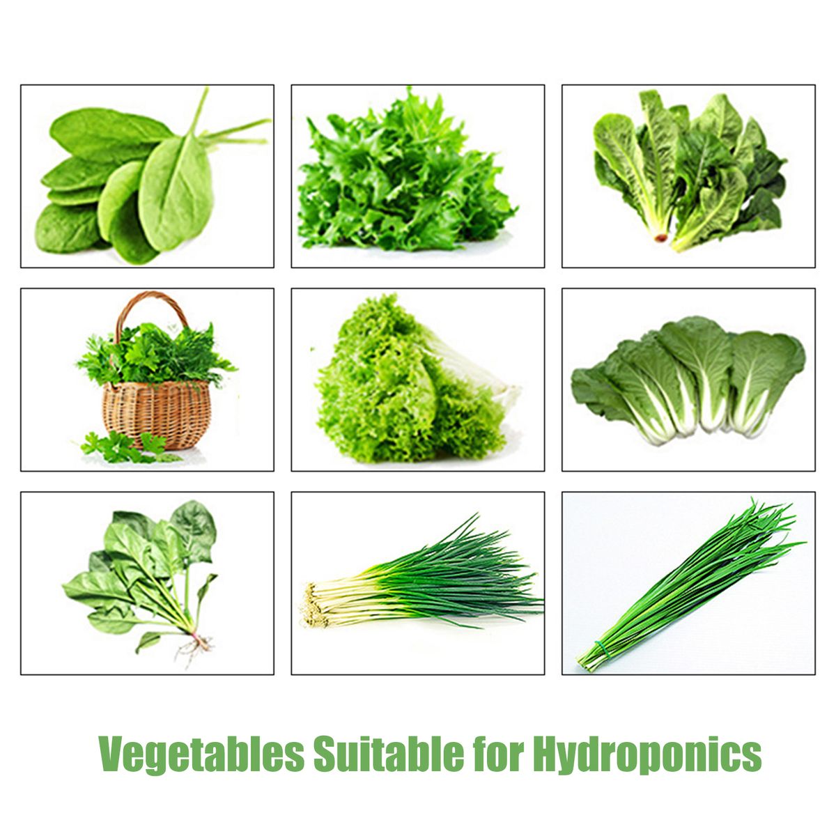 Hydroponics Growing System Cabinet Box 6 Holes Balcony