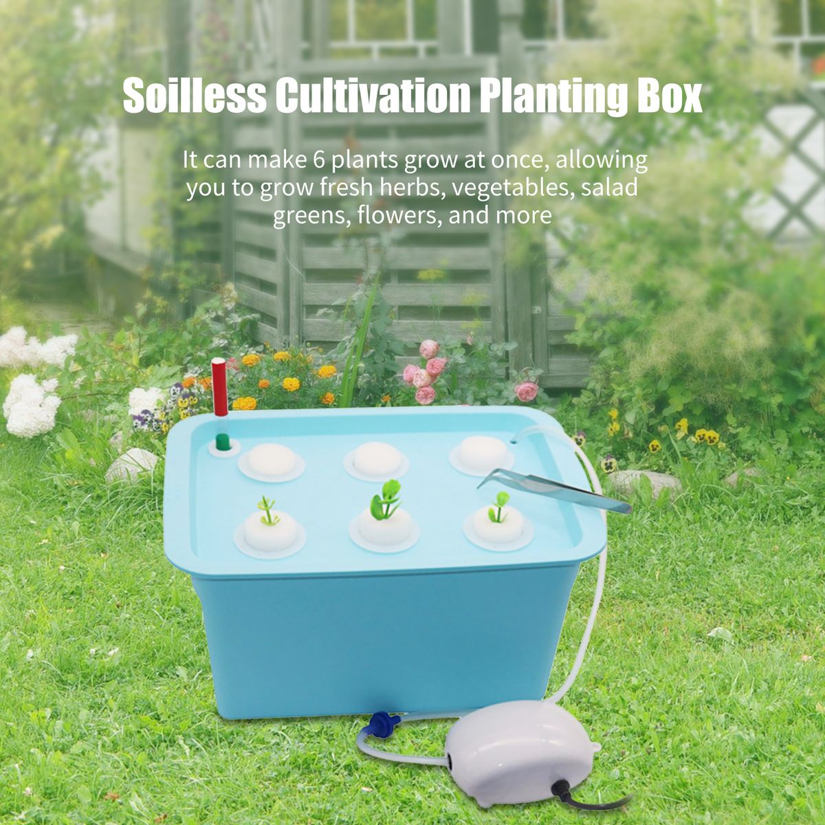 Hydroponics Growing System Cabinet Box 6 Holes Balcony
