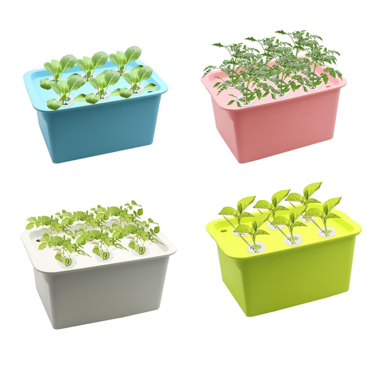 Hydroponics Growing System Cabinet Box 6 Holes Balcony