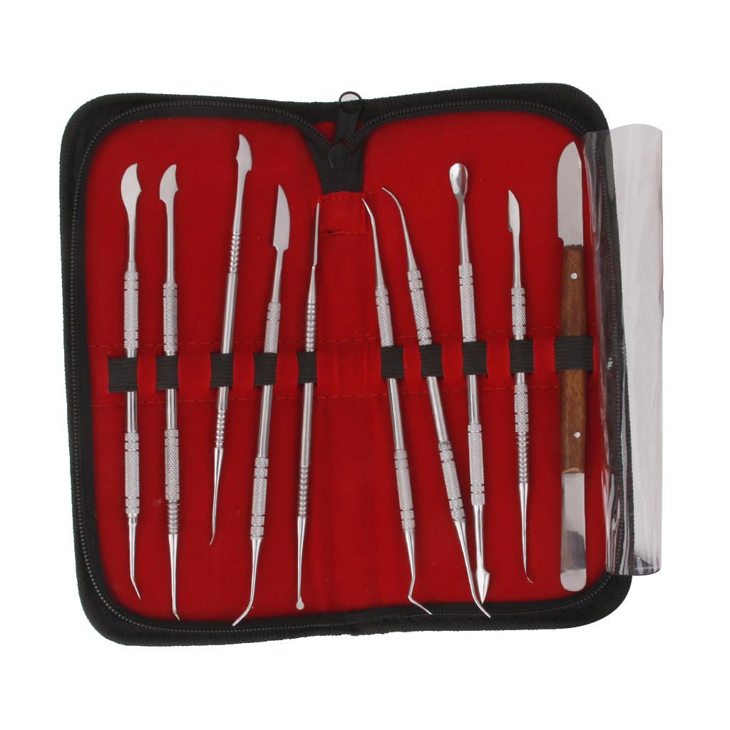 Set Of 10 Stainless Steel Wax Carving Teeth Tool Set