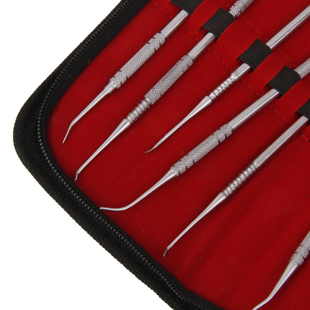 Set Of 10 Stainless Steel Wax Carving Teeth Tool Set