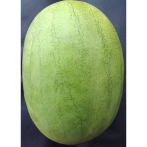 Kaolack Watermelon Seeds - 500 Grams