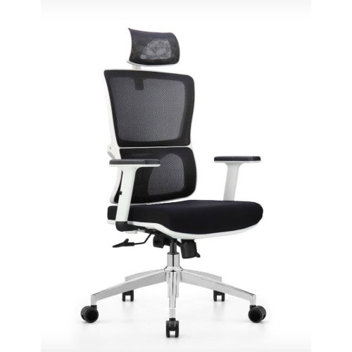 Executive Ergonomic Office Chair