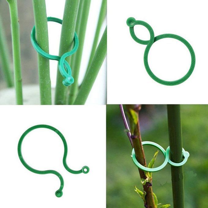 Garden Stem 8-bu Kle Plant Tomato Flowers Stem Plasti  Green 8-bu Kle-green-20p S