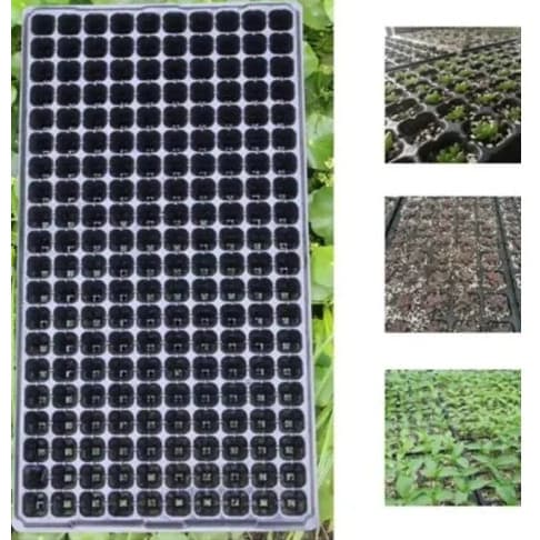 Seedling Tray - 200 Holes Or Cells - 5 Pieces