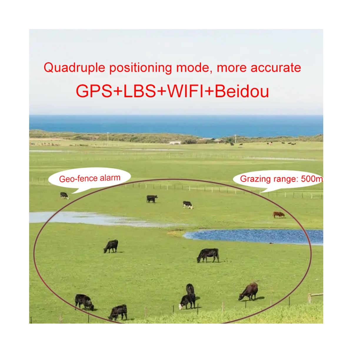 Solar GPS Tracker 4G GPS Tracker Waterproof IP66 4000MAh WIFI Cattle Cow Horse Camel Tracking Device Pets Person