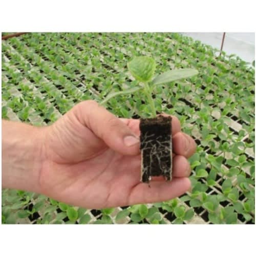 Premium Potting Soil - 20L Bag